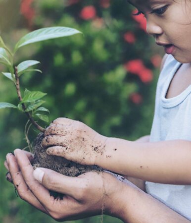 Kind mit einer Pflanze in den Händen