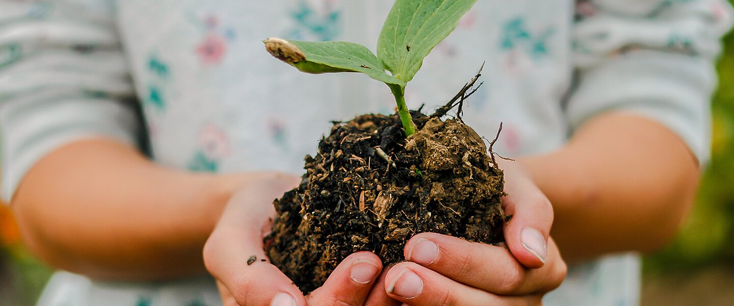 Foto, auf dem jemand eine kleine Pflanze samt Erdballen in die Kamera hält, als Bild für das Thema ESG, Abkürzung für Environment Social Governance, und Nachhaltigkeit transparent machen