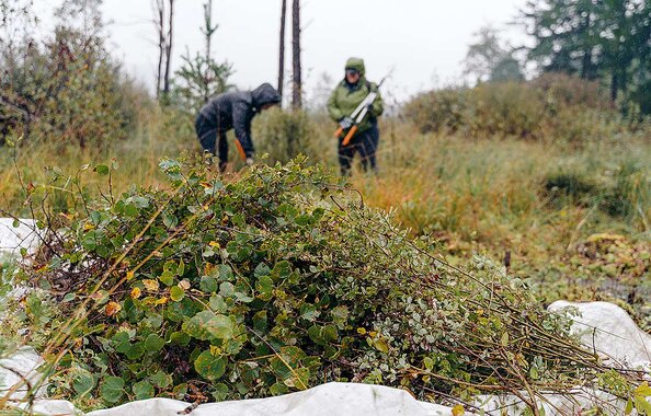 Ehrenamtliche Mitarbeiter der Fonds Finanz zusammen mit Mitarbeitern vom Bund Naturschutz bei der Landschaftspflege im Grünen